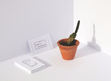 赏金女王下载地址产品名称一